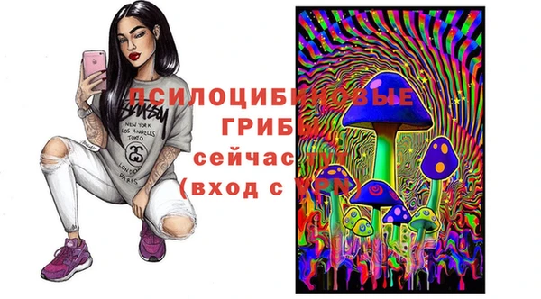 бутират Алексин