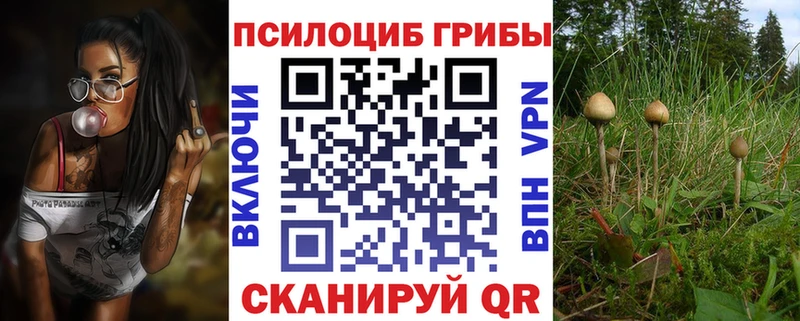 Галлюциногенные грибы Psilocybine cubensis  где найти наркотики  Асино 